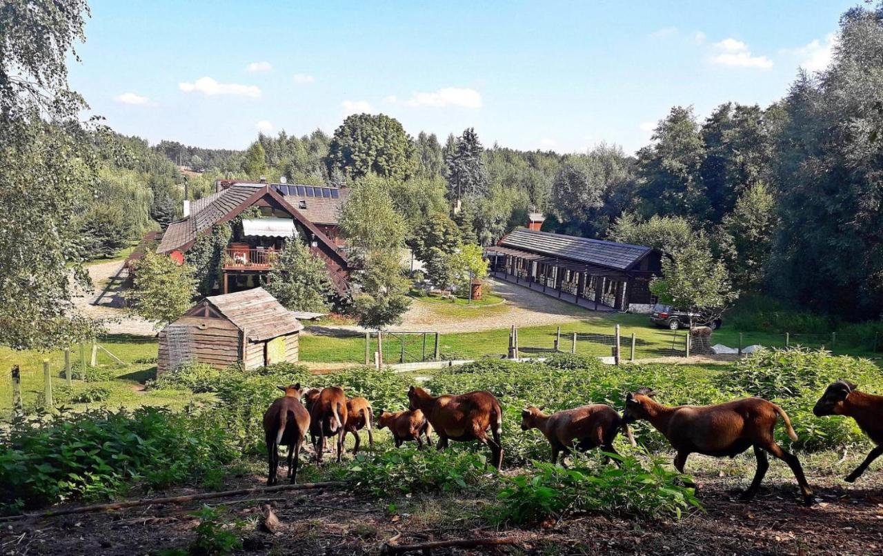 Tamarynowa Osada - Kraina Udanego Wypoczynku Villa Lowyn Eksteriør billede